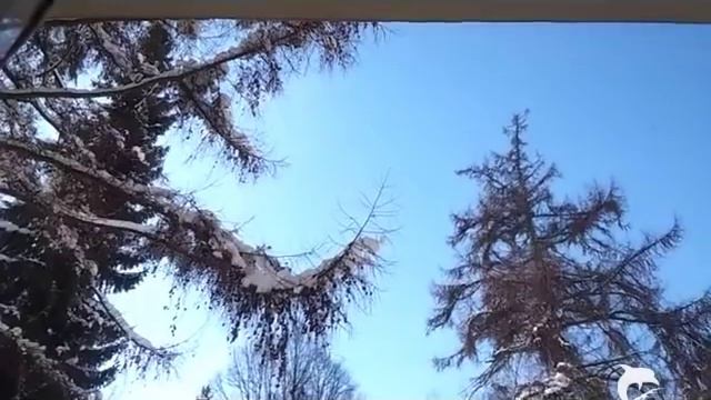 Тимур Раджабов ЭЛЕГИЯ