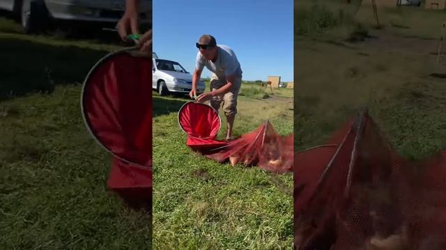 Платная рыбалка, пруд Черноморец 17.06.21. Улов рыбака.