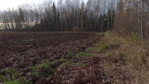 Поиск полевого стана и металла. Коп 2022 года с металлоискателем МД 4030