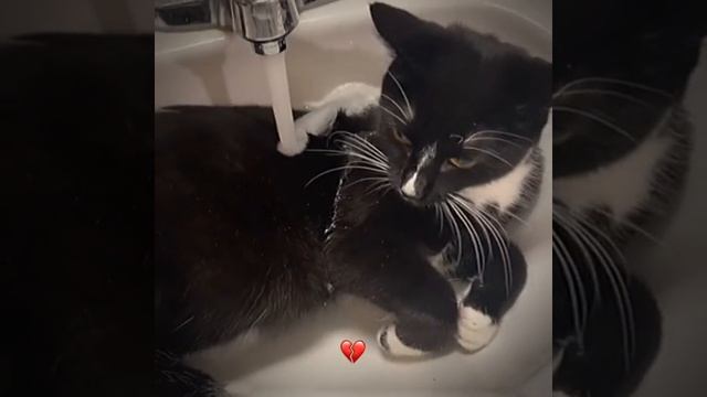 СМОТРИ И СМЕЙСЯ смотреть онлайн