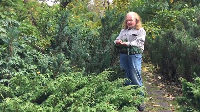 Фестиваль Науки в Ботаническом саду 2020 смотреть онлайн