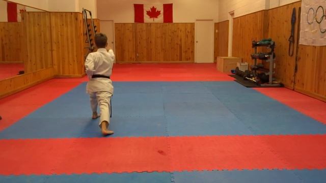 OKF Open e-tournament, kata - Enpi смотреть онлайн