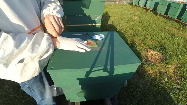 Работа с пакетами карпатки смотреть онлайн