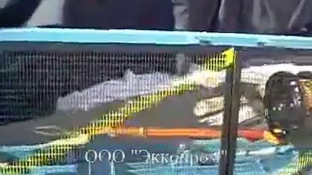 Испытание страховочных поясов-видеоинструкция