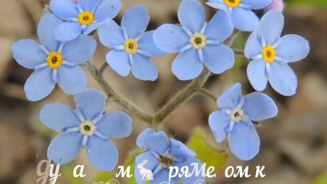 Temnota love смотреть онлайн