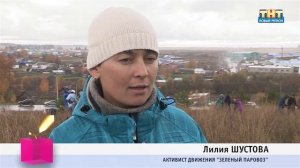 Посадка дубов