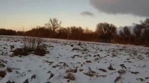 ЯГДТЕРЬЕР  Подготовка к охоте