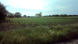 Станица Шкуринская. Ул. 7-го ноября - поворот на ул.Горького. Май 2017 год