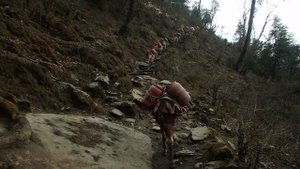 НЕПАЛ. Гималаи - Himalayas. Nepal