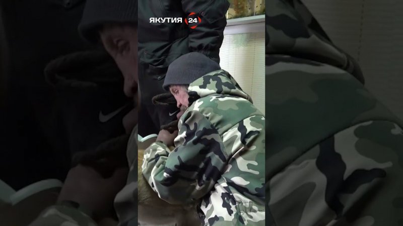 Проблема безнадзорных собак Олекминска/Problem of stray dogs in Olekminsk #якутия #россия #собаки