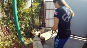 Прогулка и контроль