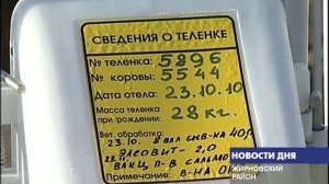 УВЕЛИЧИТЬ ПРОИЗВОДСТВО МОЛОКА В НЕСКОЛЬКО РАЗ