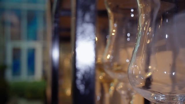«Даша подскажет»: выставка тысяч тюльпанов (и как мы ее делали)