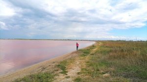 Сасык-сиваш, розовое озеро в Сакском районе Крыма.