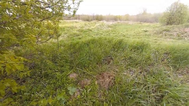 ЦЕНА УПАЛА НА МЕТАЛЛ.. ПРОДОЛЖАЮ КОПАТЬ МЕТАЛЛ НА ФЕРМЕ. смотреть онлайн