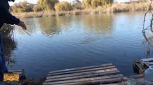 Ловля щуки на пруду в полнолуния.