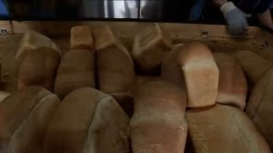 Работа пекарни. Люлечная печь ПОИСК 240/02