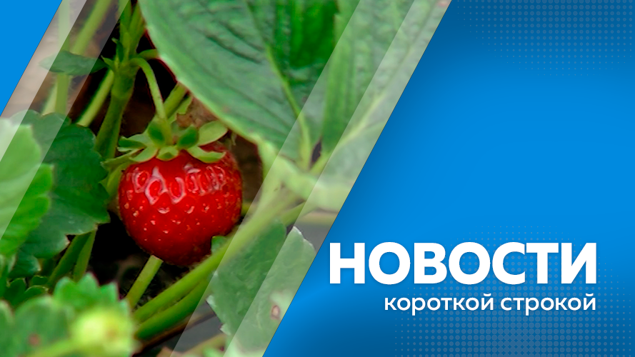 15.08 2025 г. 15.08 2025 г