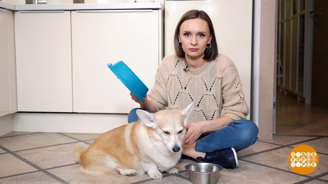 Чуть помедленнее, Плюша! Доброе утро. Фрагмент выпуска от 24.03.2021