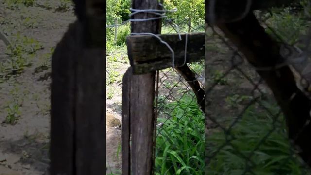 Продаётся  дом,в ст.Вознесенской Краснодарского края в Лабинском районе