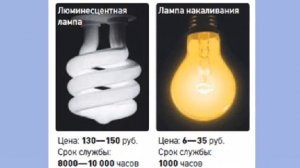 Видеорассказ «Энергосберегающие лампы» Просто о сложном
