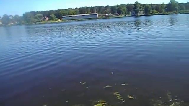 РаМеНсКиЙ рЫбХоЗ гЖеЛкА смотреть онлайн