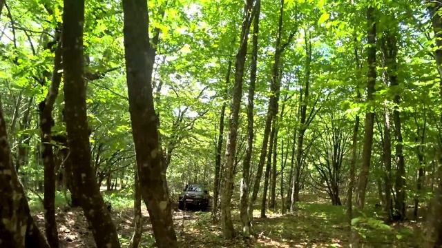 Грибочки смотреть онлайн