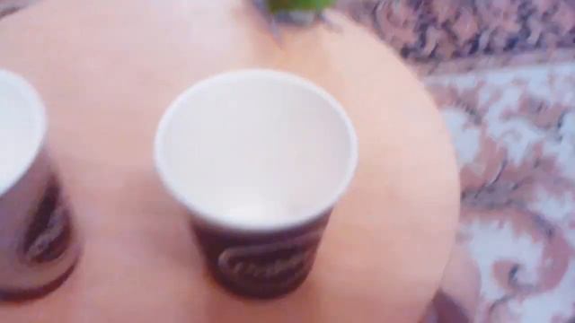 Умный попугай Кеша смотреть онлайн