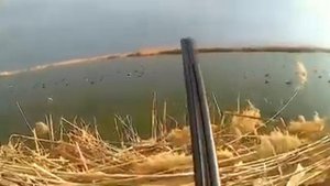 Охота на утку 08.02.2018 с легендарным иж 54