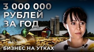 Сколько зарабатывают фермеры? Разведение Уток в деревне | Бизнес с нуля | Своя Еда. Андрей Даниленко