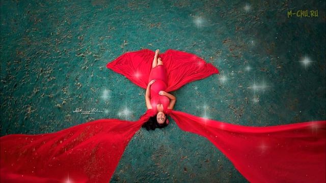 Фотограф из Бразилии делится закадровыми снимками, показывая, как выглядят идеальные фото в реально смотреть онлайн