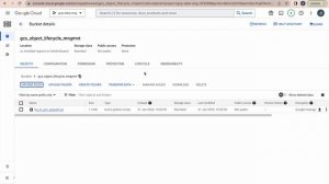 Google Cloud Storage (GCS)  Object  Lifecycle Management with Examples