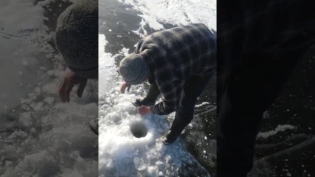 Зимняя рыбалка на Еравне смотреть онлайн