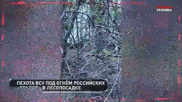 СПЕЦОПЕРАЦИЯ Z  1 мая 2024  Собрали главное за сегодняшний день#россия#донбасс#спецоперация#всу#зсу