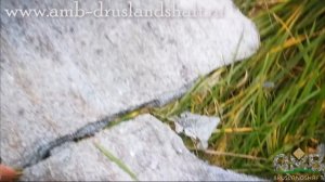 Укладка природного тротуарного камня, технология укладки камня на дорожки ,процесс мощения камнем.