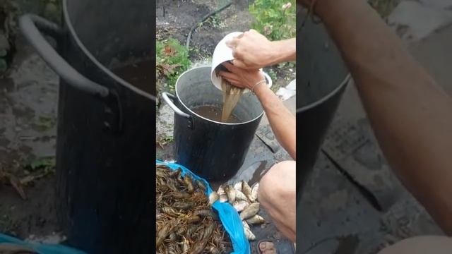 эх сейчас бы, раков .