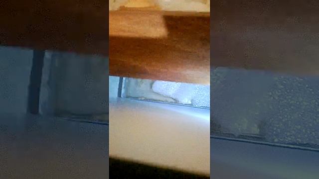 Как отрегулировать влажность в инкуьаторе. смотреть онлайн