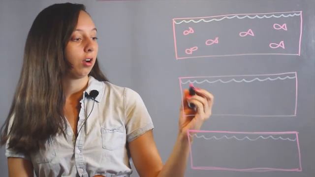 Everyday Life Experiences & Chemical Equilibrium : Chemistry Lessons