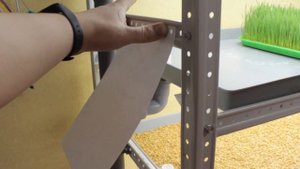 Обдув растений при выращивании микрозелени