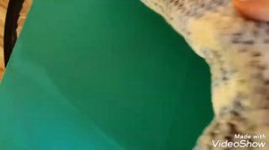 ОБЗОР ПРЯЖИ ALIZE BABY BEST!  И ЧТО Я СВЯЗАЛА ИЗ НЕЕ?