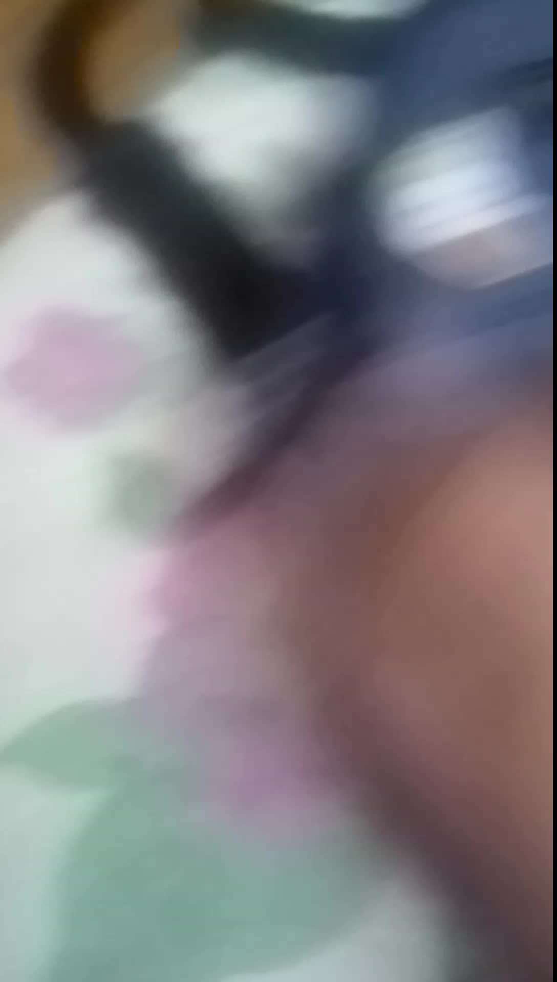 котики