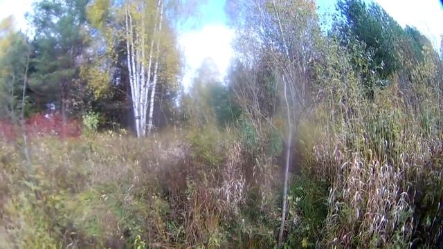 Я очень хотел туда попасть! Осенние поиски. смотреть онлайн