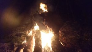 Отдых и рыбалка на Оби. Сентябрь 2017