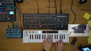 Prophet-5 Rev4: favorite pads with morphing Nightsky