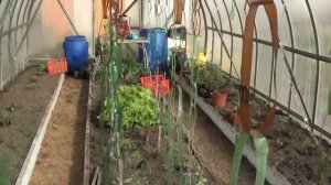 ЧТО ПОЛЕЗНО сделать В ТЕПЛИЦЕ!