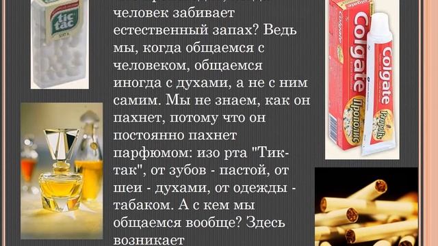 Обоняние как тайна восприятия (физиология)