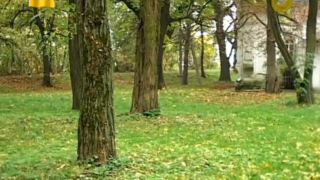 Чернігів. Архітектура XVII ст. Кам'яниця Якова Лизогуба