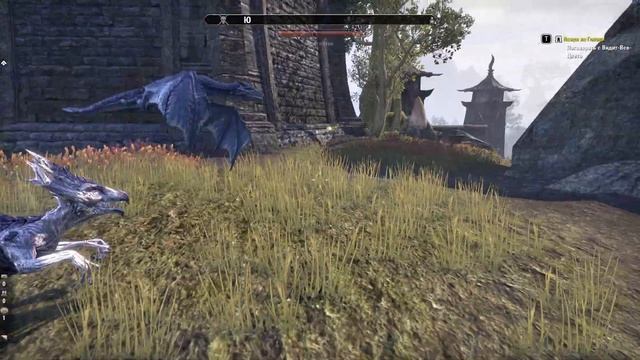 TES Online: Deshaan. Где найти небесные осколки в Дешаане.