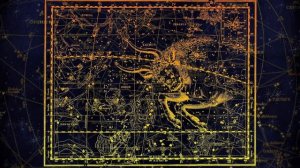 Телец в год Тигра - характер