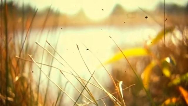 Herbst 2010 смотреть онлайн